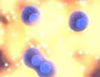 Das Ziel der Mikroimmuntherapie ist, eine gegen Tumorzellen spezifische Immunreaktion in Gang zu setzen.