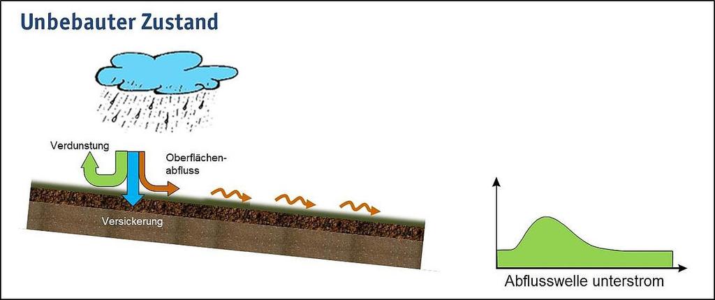 Abb. 1: Einfluss des Versiegelungsgrades auf die Bildung der Abflusswelle in Gewässern (Quelle: Geiger/Dreiseitl) Überflutung Regenwasserkanalisationen werden gemäß den