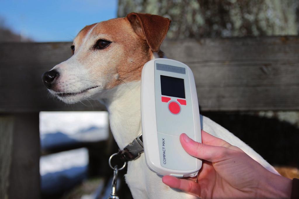 Hundekontrolle Überprüfen Sie, ob Ihr Hund mit einem Chip gekennzeichnet und in der Hundedatenbank AMICUS registriert ist. Die Nummer des Chip ist im Pass eingetragen.