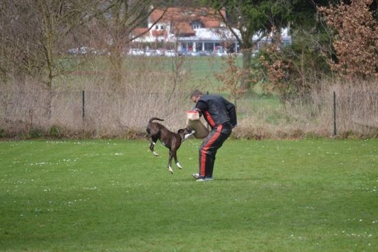 sportlichen Ausgleich Die