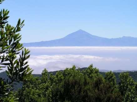 Die Insel auf eigene Faust erkunden Die Nebelwälder bestaunen Auf den Höhenwegen wandern Einblicke in das Leben der Insel erhalten La Gomera Inseldurchquerung 8 Tage individuelle Wanderreise Während