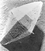 Bipyramidales Toxin-Kristall Quelle: http://www.glfc.cfs.nrcan.gc.