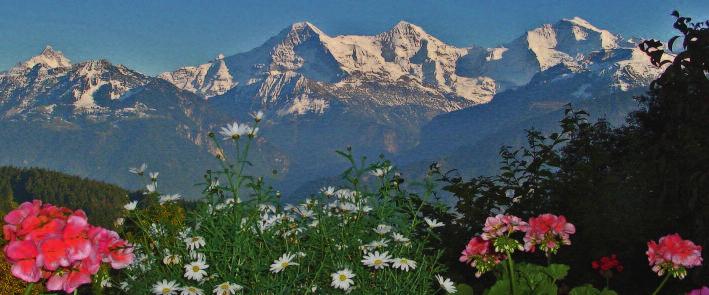 Wandern in der wunderschönen Schweiz Genusswandern im Gebiet Eiger, Mönch und Jungfrau vom 26. Juni 3.