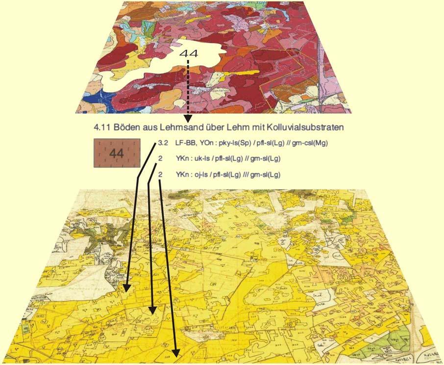 4. Kartenentwicklung - Differenzierung von Bodenkarten mit Bodenschätzung Inhalte von Bodenkarten (Legendeneinheiten) lassen sich durch großmaßstäbige Flächendaten räumlich und inhaltlich