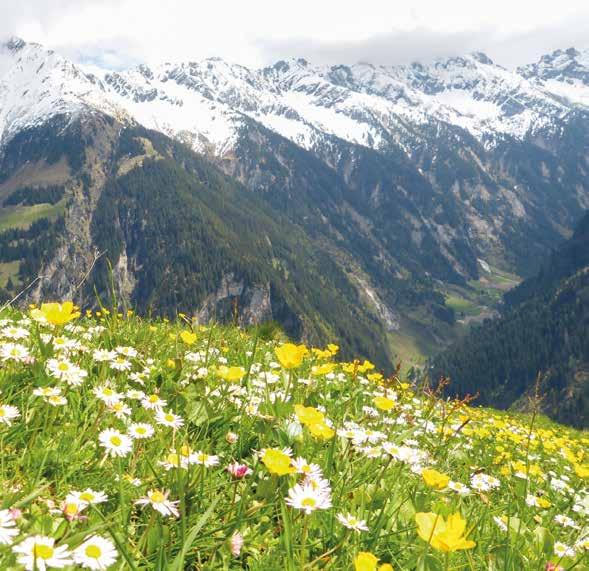 Kennen Sie schon die Wildspitze? Der höchste Berg Tirols erhebt sich mit 3.770 m majestätisch über die imposante shutterstock, by Paul Gebirgslandschaft der Alpen.