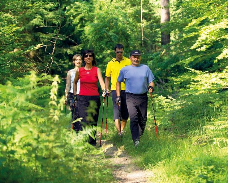 Nordic Walking Rothenbuch Die gut ausgebauten u. beschilderten Wanderwege durch den Spessartwald bieten optimale Voraussetzungen für ein abwechslungsreiches Nordic-Walking.