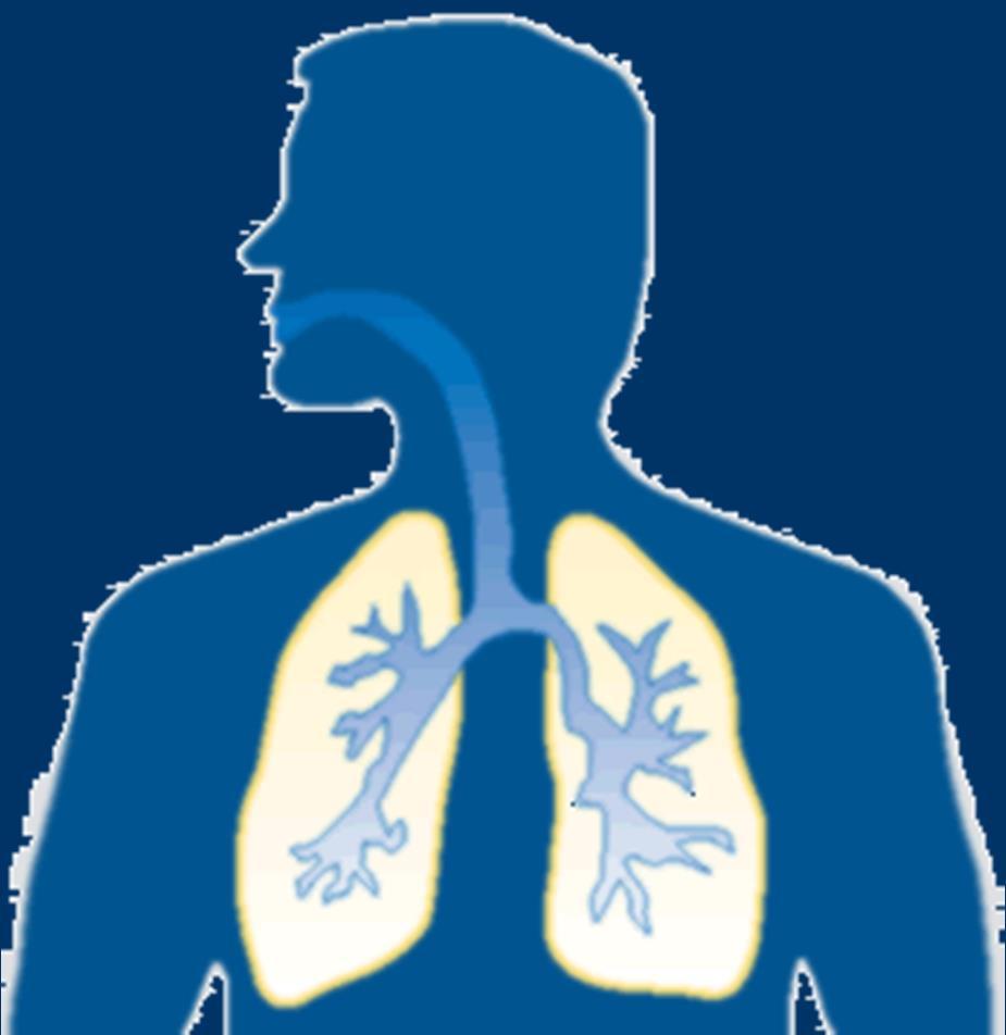 Störungen der Respiration Dyspnoe: - O 2 - Verlegung der Atemwege -
