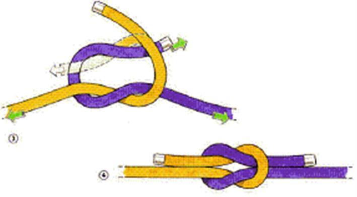 1.5. Kreuzknoten = Weberknoten Der Kreuzknoten auch Doppelknoten, Reffknoten, Samariterknoten oder Weberknoten ist ein Knoten zum Verbinden von zwei Seil- oder Fadenenden.
