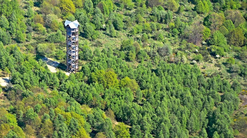 Am Südrand des Naturschutzgebiets liegt der 34 m hohe»haselbergturm«.
