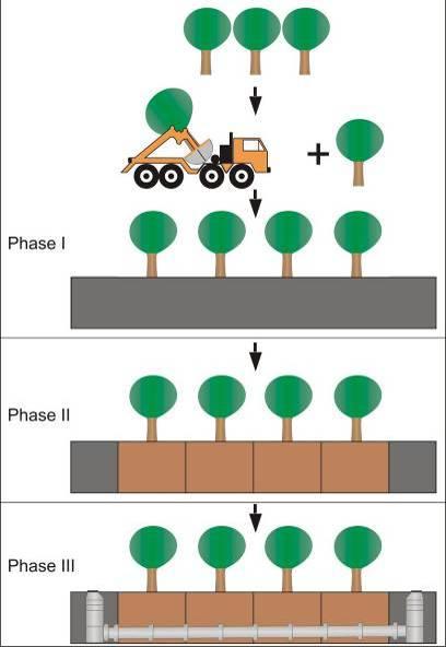 Abb. 1 Übersicht des Projektverlaufes: Phase I (Teilprojekt 1) Verpflanzung von Großbäumen mit unterirdischer Versuchsanlage am Standort Osnabrück (abgeschlossen).