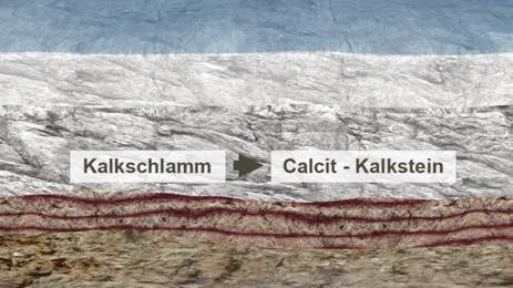 Die Entstehung von Kalksteinsedimentschichten in den großen Meeren wird nun in geraffter Form dargestellt.