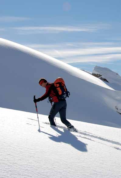 Olympiaberg Patscherkofel Unser Hausberg, der Patscherkofel, ist ein Tummelplatz für Skifahrer und Snowboarder, für Könner ebenso wie für Anfänger und Lernende.