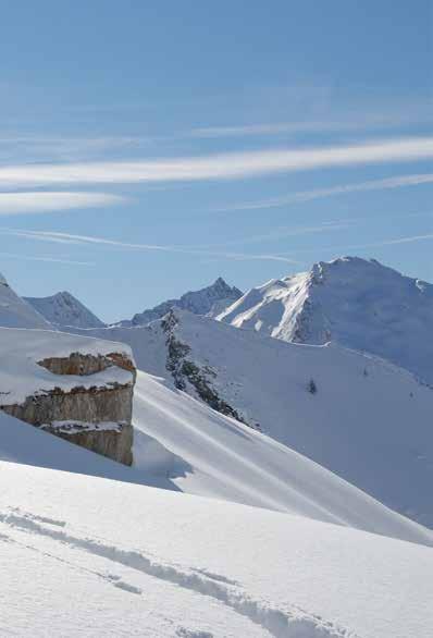 SkiWorld Pass (gültig für 9 Skigebiete im Großraum Innsbruck) Transfer zum Stubaier Gletscher (Dienstag oder