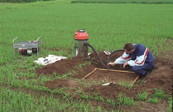 3.6 Regenwurmaktivität Die Unterschiede in den Bodennitratgehalten deuten bereits darauf hin, dass in den Mulchsaatflächen eine höhere biologische Aktivität vorhanden sein musste.