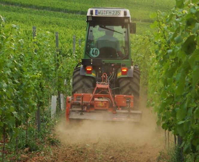 Hintergrund - Bodenpflege im Weinbau Weinberg im Jahresgang: Sommer Mehrfache Bodenbearbeitung