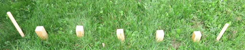 Tipp für die Auswahl des Spieluntergrundes Die Holzblöcke sollen bei Abwurf leicht umfallen, aber nicht von alleine umfallen (zu hohes Gras ist ungeeignet) Harte Steinuntergründe sind zu vermeiden,