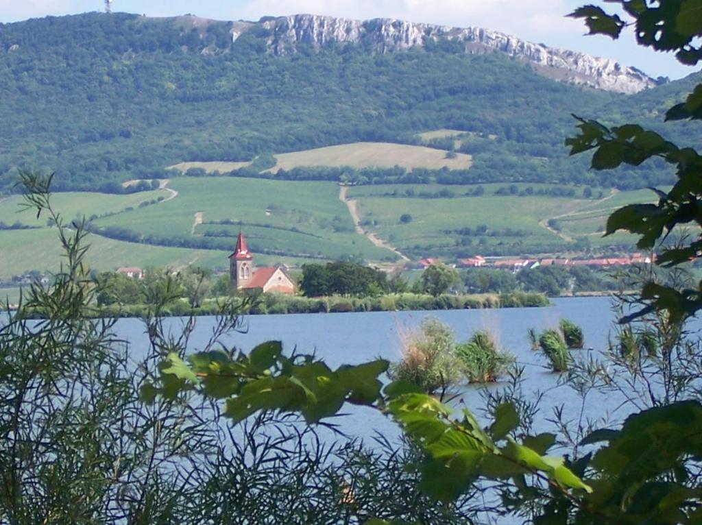 Orte und erklärte die Geschichte des Stausees. Entlang des Höhenrückens, der Pollauer Berge, ging es zum Maidenberg.