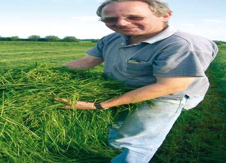 COUNTRY Feldgras Leistung und Qualität für den Feldfutterbau COUNTRY Feldgrasmischungen sind besonders hochwertige Gräserund Gräser-Klee-Mischungen, die speziell für unterschiedliche Nutzungsformen