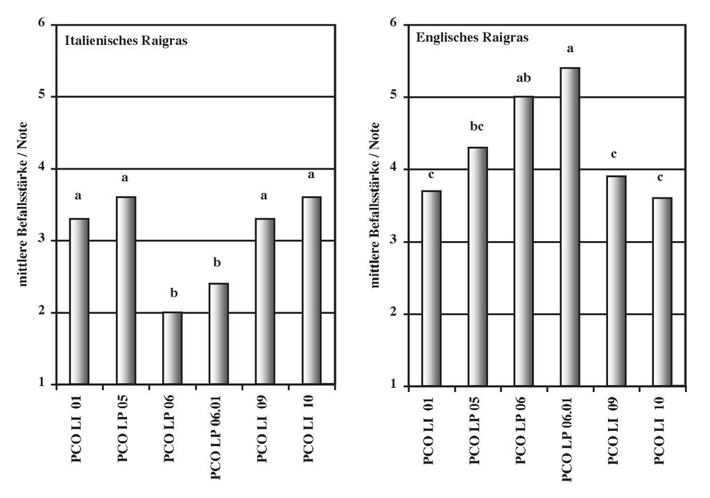 Abb. 5. Durchschnittliche elf Sorten Englischem Raigras (Lolium perenne) mit sechs verschiedenen Herkünften des (Puccinia coronata). Abb. 6.