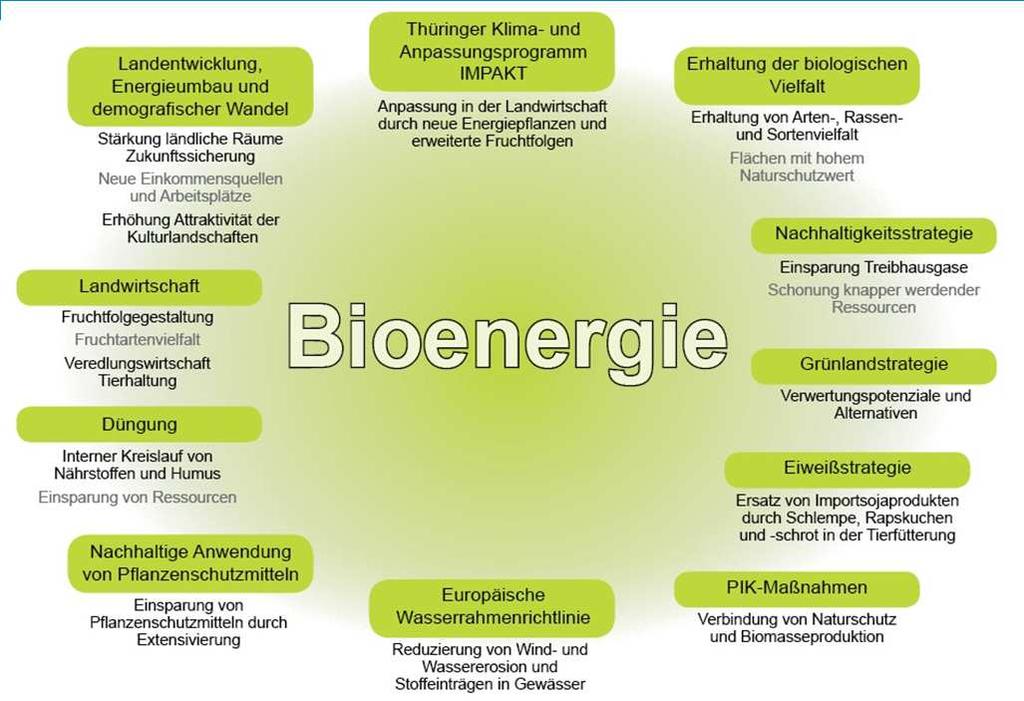 Thüringer Bioenergieprogramm 2014 Bioenergie im Kontext der gesellschaftlichen Entwicklung Aufteilung des Primärenergieverbrauchs in Thüringen (Stand 2012) Aufteilung des PEV von Biomasse gasförmig