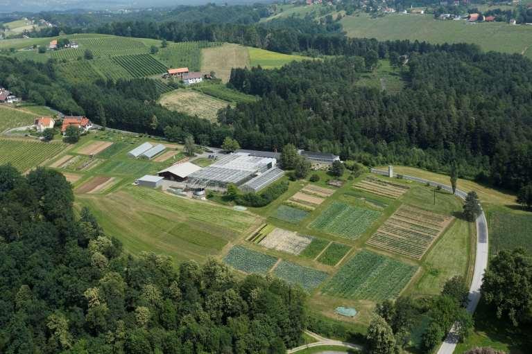 Versuchsstation für Spezialkulturen, Wies I 4,5 ha Freilandfläche insgesamt 2.400 m² geschützter Anbau 3.