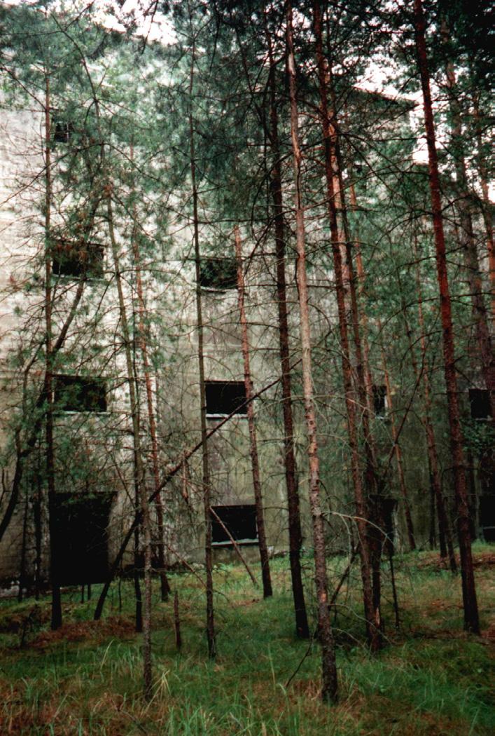 65 Foto 12: Getarntes Fabrikgebäude in Skelettbauweise. Foto: Martina Löbner, August 1997. Alle Montan-Fabriken wurden nach einem bestimmten System entworfen und errichtet.