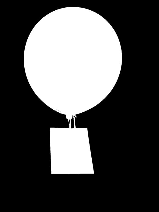 Zu den Höhepunkten des Tages zählten beispielsweise der Auftritt der Kinder der Kindertagesstätte Groß & Klein und das anschließende Steigenlassen vieler bunter Luftballons.