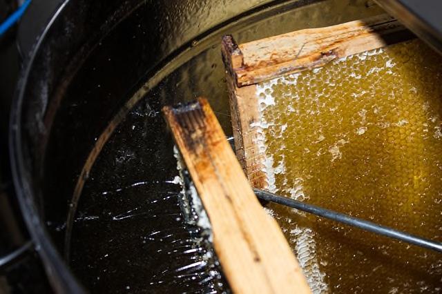 Anschliessend wird der so gewonnene Honig gefiltert, in Gläser abgefüllt und bis zum Verkauf kühl und dunkel
