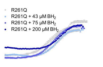 BH 4, BH 2, Sepiapterin und 6-MPH 4 in unterschiedlichen