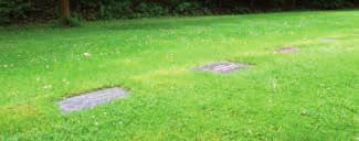 und Wahlgräber für Erdbestattungen können auf besonderen Grabfeldern anstelle eines Pflanzbeetes auch mit einem liegenden Grabstein versehen werden, der die gesamte Grabfläche abdeckt.