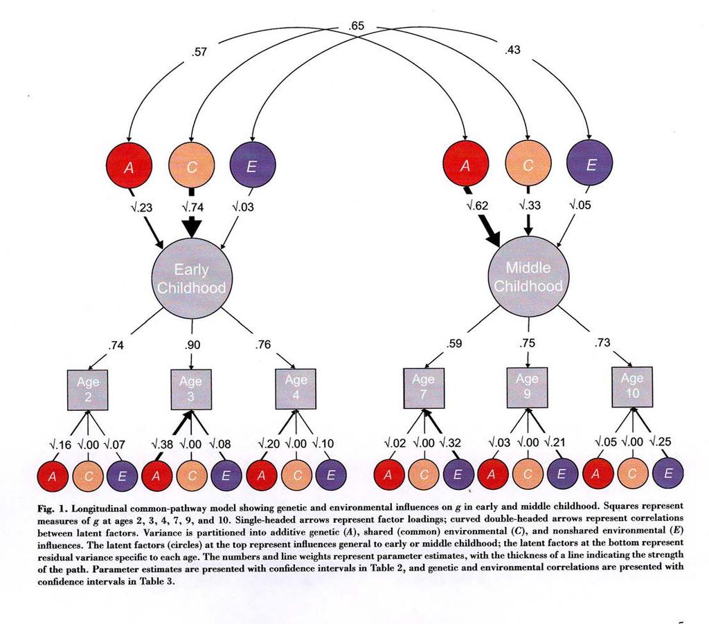 Dominanz der Kontinuität II TEDS Twins Early Development Study 2,979 monozygotic pairs 2,942 same-sex dizygotic pairs 2,870 opposite-sex dizygotic pairs Davis, O.S.P., Haworth, C.M.A.