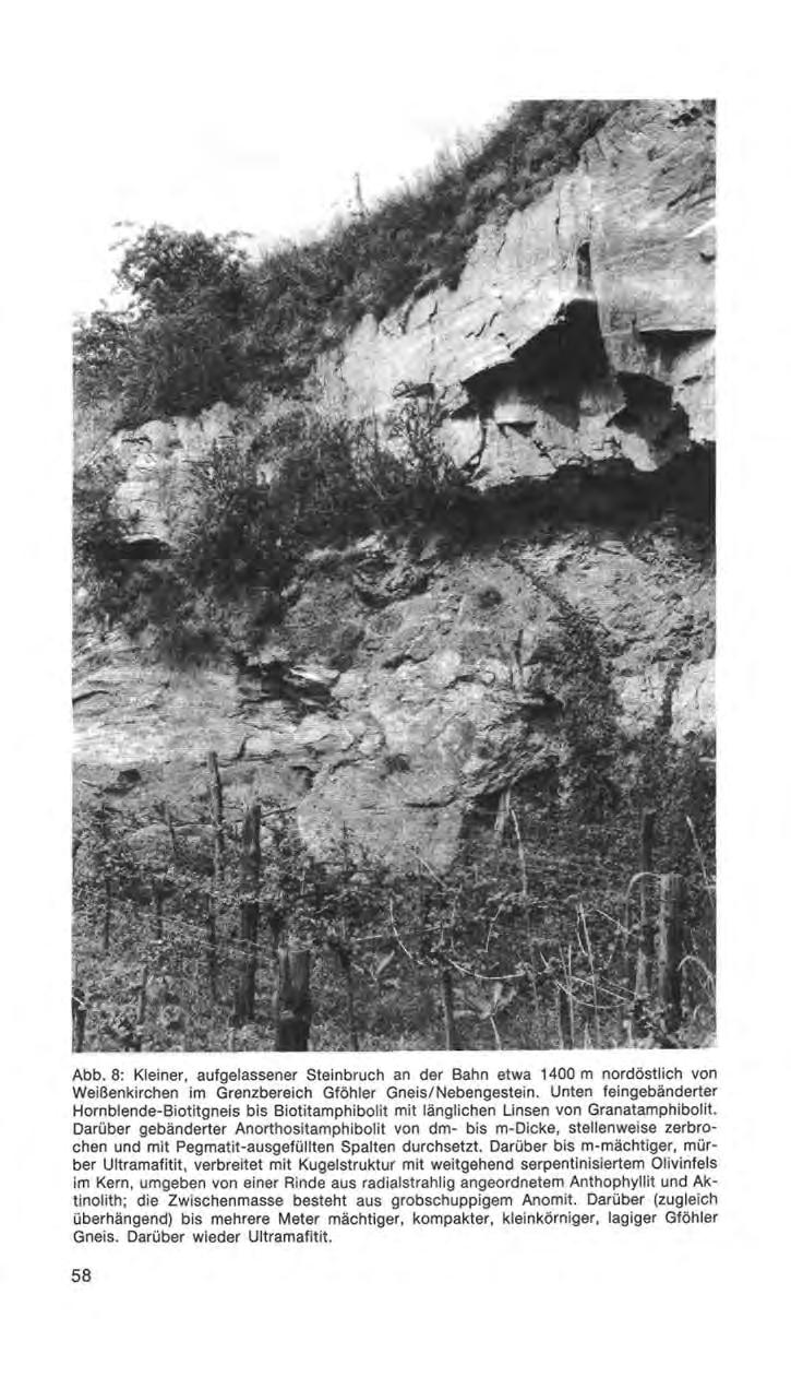 Abb. 8: Kleiner, aufgelassener Steinbruch an der Bahn etwa 1400 m nordöstlich von Weißenkirchen im Grenzbereich Gföhler Gneis/Nebengestein.