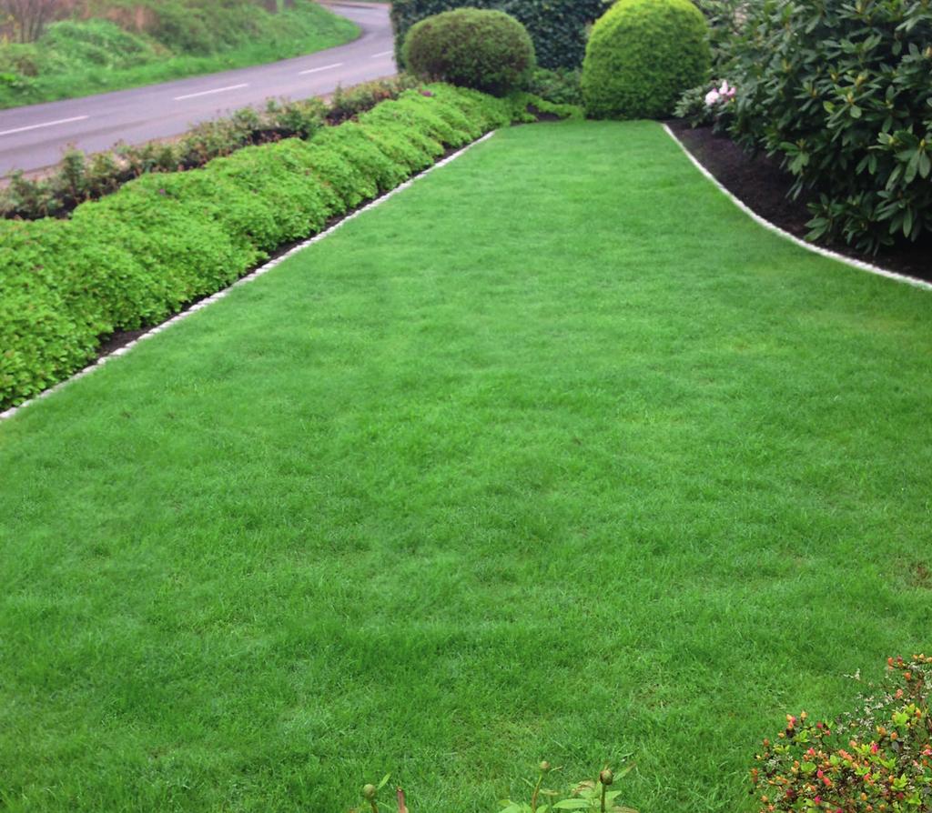 Rasen Ob als Liegewiese oder Spielplatz, ob als Kunstwerk nach englischem Vorbild oder als blühendes Durcheinander - ein Rasen gehört in jeden Garten.