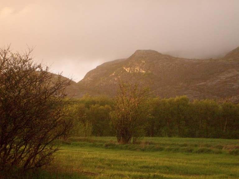 2010 Linesøya im Frühling? Regen und Wind waren über die letzten beiden Wochen im Mai unsere ständigen Begleiter. Frühling haben wir, auch in Norwegen, schon anders erlebt.