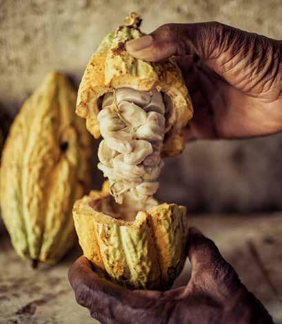 WIR BEZAHLEN, SIE PROFITIEREN. 2018 wird das komplette Pralinen- und Schokoladesortiment von Gunz auf Fairtrade-Kakao umgestellt.