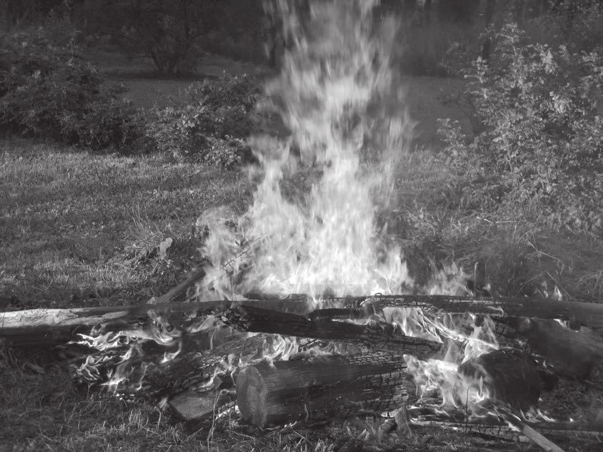 I. Die Geschichte der Feuerbekämpfung Was ist Feuer? Feuer ist die äußerliche sichtbare Begleiterscheinung (Flammen) einer Verbrennung.