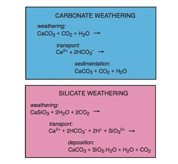 Verbrauch atmosphärischen CO2 durch Verwitterung und Kalksedimentation Aus: Hoffmann &