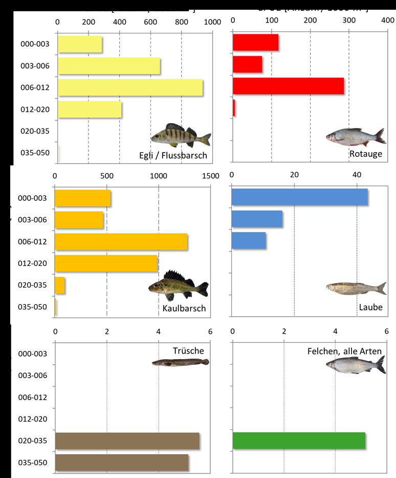 4.3.6.3 Tiefenverteilung der Fische im Obersee Im Obersee wurde die höchste Fischdichte in benthischen Netzen über alle Fischarten gesehen in Tiefen zwischen 0 und 20 m beobachtet (Abbildung 4-16).
