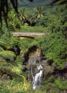 Pure Hawaii Orchids Maui Wasserfälle Hana Route Hana Route Erleben Sie die magische Insel, Maui Eine von über 80 Maui Strände Umschlossen vom türkisfarbenen Pazifik liegt die magische Insel Maui mit