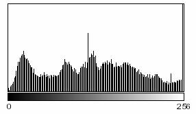 021746 g i 1 Auswirkung auf Histogramm: exp Ähnlich: Polynomfunktion 2.