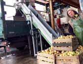 Die schlechte Ausbeute in diesem Jahr führt auch dazu, dass der Schwarmstedter Bauernmarkt (immer freitagnachmittags) künftig auf einen beliebten Standbetreiber verzichten muss: Martin Wickemeyer