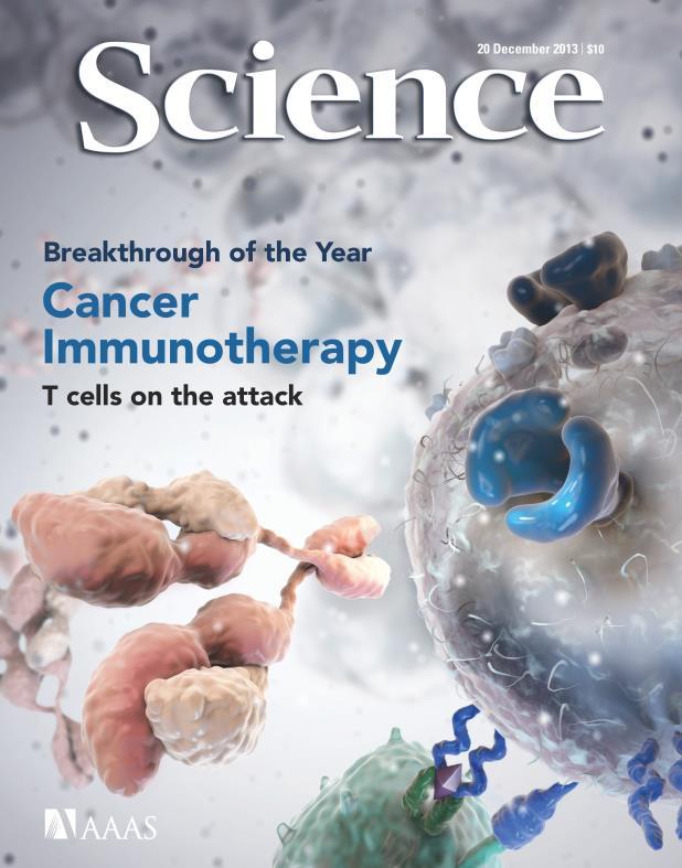 Immunotherapy in hematology (lymphoma) Targeting the immune