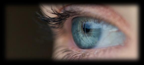 Für strahlende Augen Wimpern färben 10,-- Augenbrauen färben 8,-- Augenbrauen fassonieren 6,-- Wimpern und Augenbrauen färben