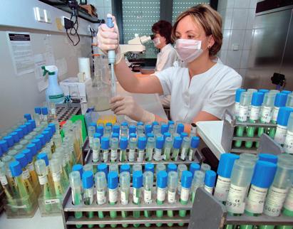 Infektiologie In einem medizinischdiagnostischen Laboratorium werden nach einer Tuberkulose-Testmethode mittels Venenblut Kontrolltests durchgeführt.