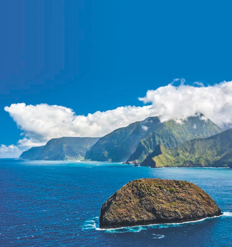 INSELTRAUM PER SCHIFF Kreuzfahrten und Expeditionsseereisen KAUAI Nawiliwili OAHU MOLOKAI Honolulu Kaunakakai LANAI Kahului MAUI PAZIFIK Kailua-Kona UnCruise Norwegian Cruise Line Alle Infos auf