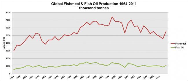 Hintergrundinformationen: Futtermittel Steigerung der Aquakulturproduktion resultiert in steigendem Futtermittelbedarf => Zwar sinkende Anteile an Fischmehl in Fischfuttermitteln => dennoch