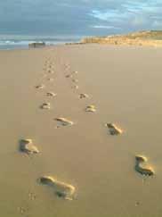 V Spuren im Sand 15 Spuren im Sand Eines Nachts hatte ich einen Traum: Ich ging am Meer entlang mit meinem Herrn.