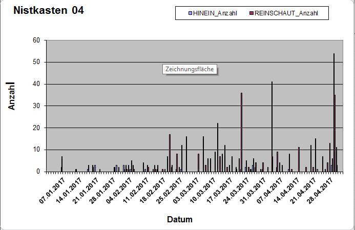 Ende April kamen die Kohlmeisen wieder kurzzeitig in Nistkasten. Gebrütet haben sie nicht. Das Bild zeigt wie häufig die Altvögel täglich in den Nist-kasten geflogen sind. Am 03.04.