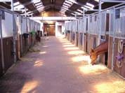Bei bedarf kann in der PPP auch Reitunterricht organisiert werden. Die Stallungen sind so angelegt, dass jedes Pferd vor seiner Box einen eigenen Paddock vorfindet.