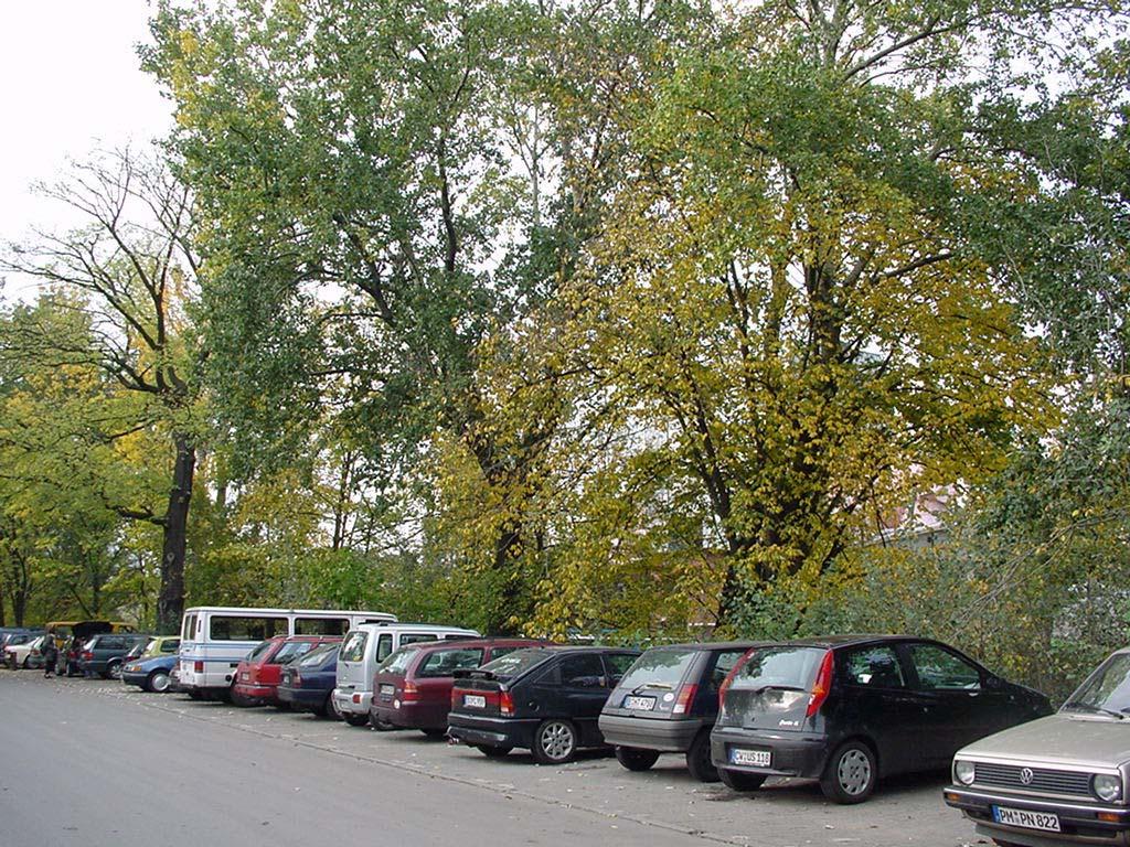 Konkrete WSV-Zielvorgabe: Empfehlung an Dritte: Salzufer Müller-Breslau-Straße C Zur Erhöhung der Verkehrssicherheit: